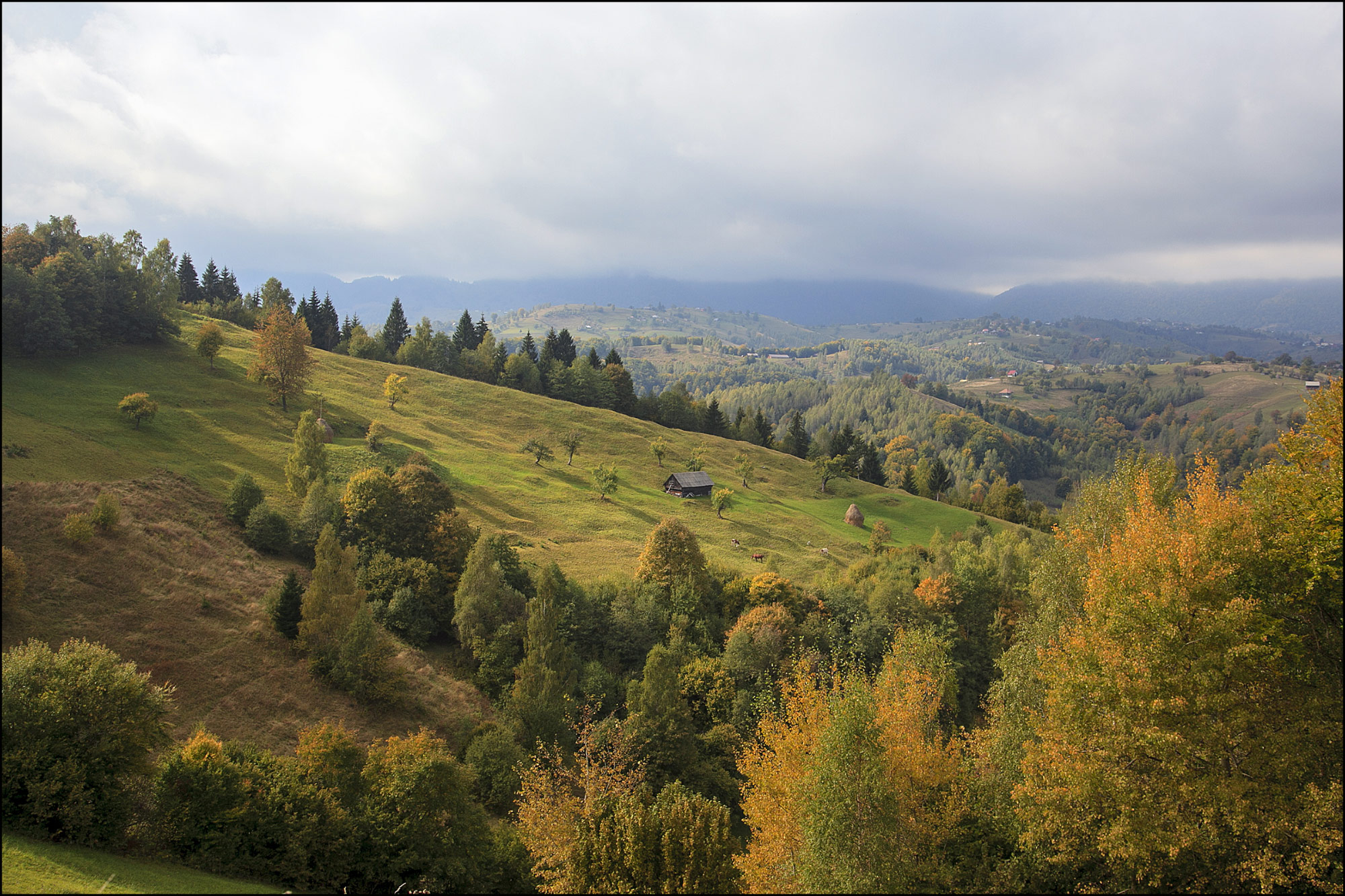 Brasov